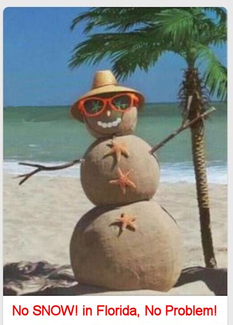 Florida Snow Man